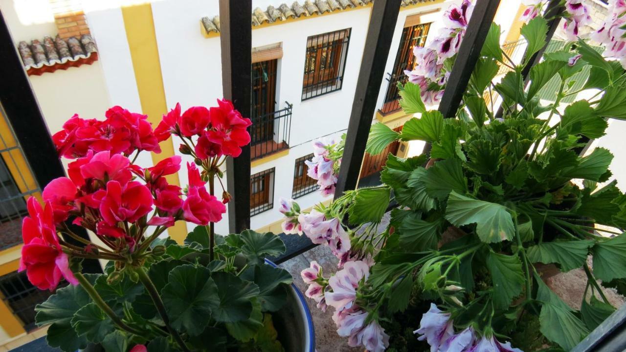 Patios De San Pedro Apartment Córdoba Exterior foto